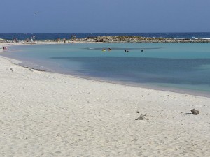 Baby Beach Aruba